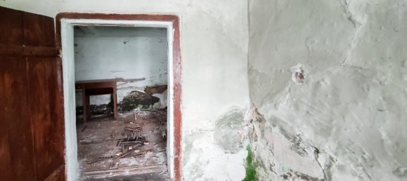 Земельный участок 12350м² в Занкт Петер ам Каммерсберг, Австрия № 131297 3