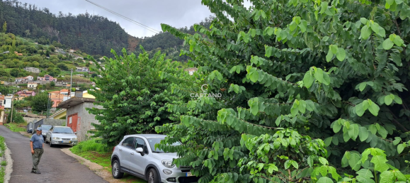 Grundstück in Calheta, Portugal, Nr. 143458 10