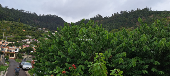 Grundstück in Calheta, Portugal, Nr. 143458 12