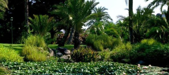 3 Schlafzimmer Penthouse in Marbella, Spain, Nr. 24057 22