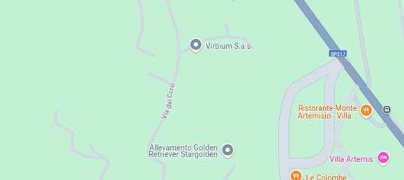 Квартира с 7 комнатами в Неми, Италия № 9707 5