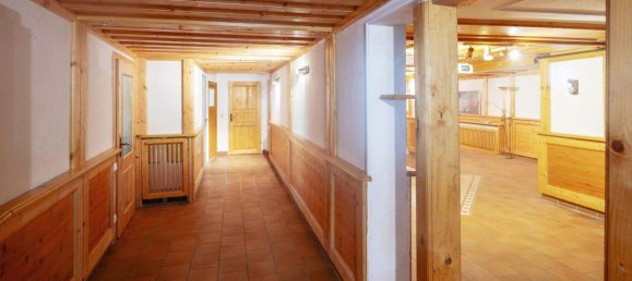 5 rooms House in Trautmannsdorf an der Leitha, Austria No. 227797 27
