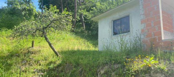 Terrain à Marco de Canaveses, Portugal No. 55029 14