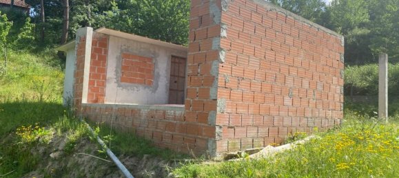 Terrain à Marco de Canaveses, Portugal No. 55029 12