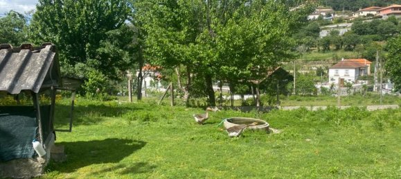 Terrain à Marco de Canaveses, Portugal No. 55029 2