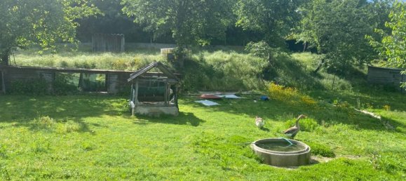 Terrain à Marco de Canaveses, Portugal No. 55029 4