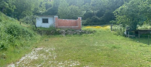 Terrain à Marco de Canaveses, Portugal No. 55029 11