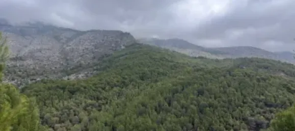 Grundstück in Callosa D'en Sarria, Spain 5221m², Nr. 135780 2