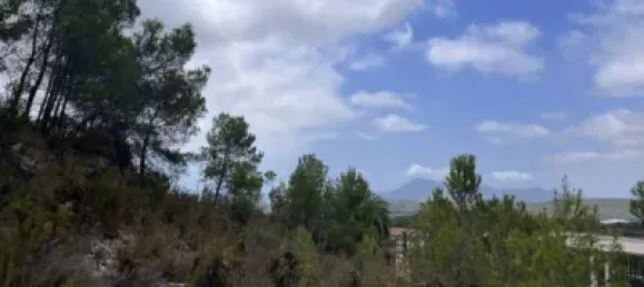 Grundstück in Callosa D'en Sarria, Spain 5221m², Nr. 135780 6