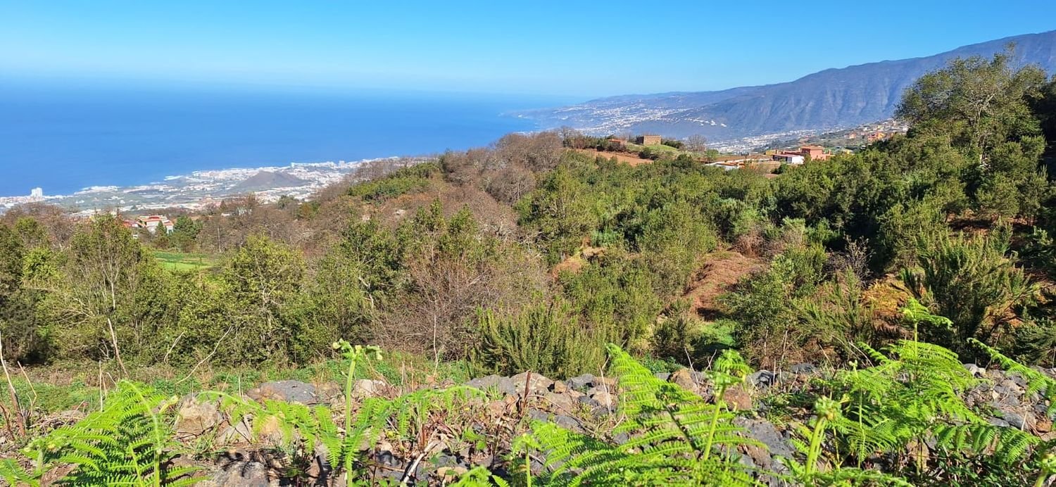 Дом с 3 спальнями в Лос Реалехос, Испания № 253648