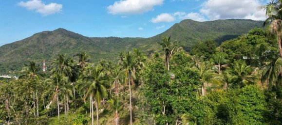 Земельный участок в Сураттхани, Таиланд № 70681 4