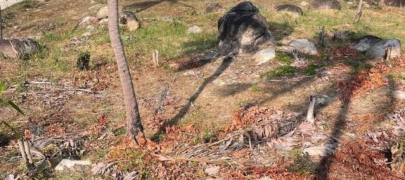 Земельный участок в Сураттхани, Таиланд № 70681 6