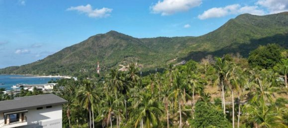 Земельный участок в Сураттхани, Таиланд № 70681 9