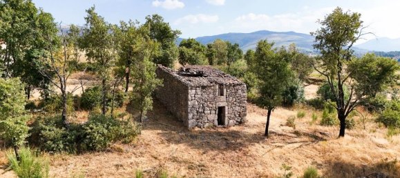 22000m² Land in Celorico da Beira, Portugal No. 236636 5