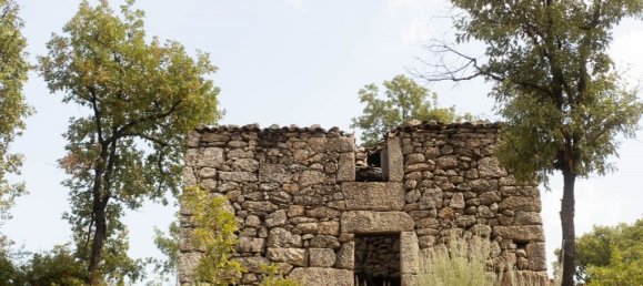 22000m² Land in Celorico da Beira, Portugal No. 236636 13