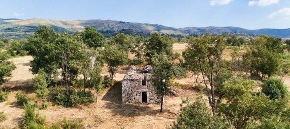 22000m² Land in Celorico da Beira, Portugal No. 236636 9