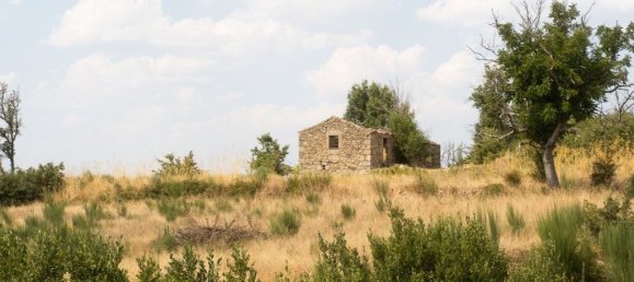 22000m² Land in Celorico da Beira, Portugal No. 236636 2