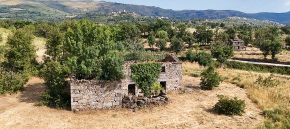 22000m² Land in Celorico da Beira, Portugal No. 236636 3