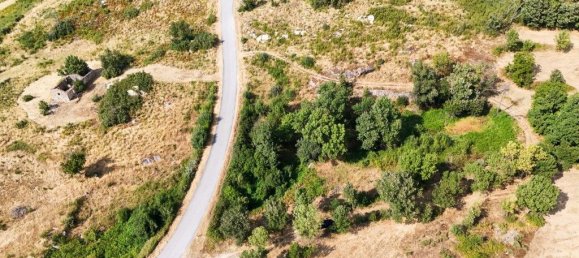 22000m² Land in Celorico da Beira, Portugal No. 236636 4