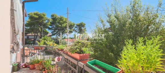 4 rooms Duplex in Misano Adriatico, Italy No. 298983 16