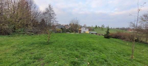 4 bedrooms House in Kallham, Austria No. 26012 7