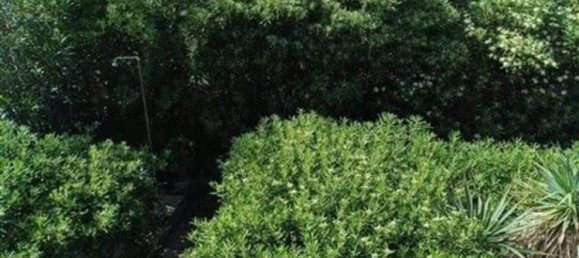 7 bedrooms Apartment in Stintino, Italy No. 338518 11