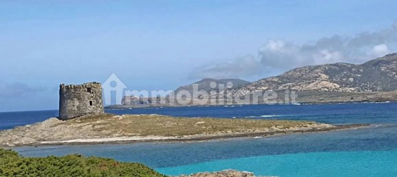 7 bedrooms Apartment in Stintino, Italy No. 338518 34