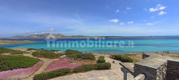 7 bedrooms Apartment in Stintino, Italy No. 338518 2