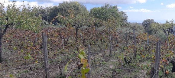 Grundstück in Pedara, Italy 2800m², Nr. 127606 3