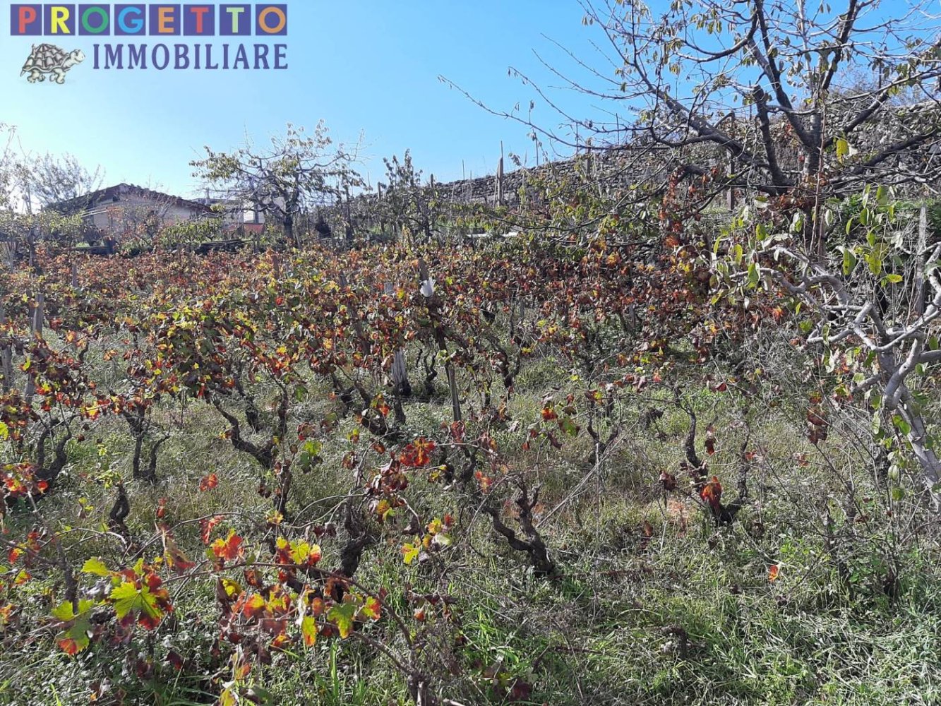 Grundstück in Pedara, Italy 2800m², Nr. 127606