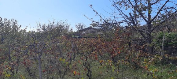 Grundstück in Pedara, Italy 2800m², Nr. 127606 2