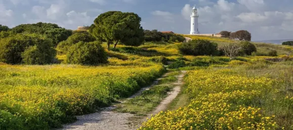 Квартира с 2 спальнями в Като-Пафос, Кипр № 138 8