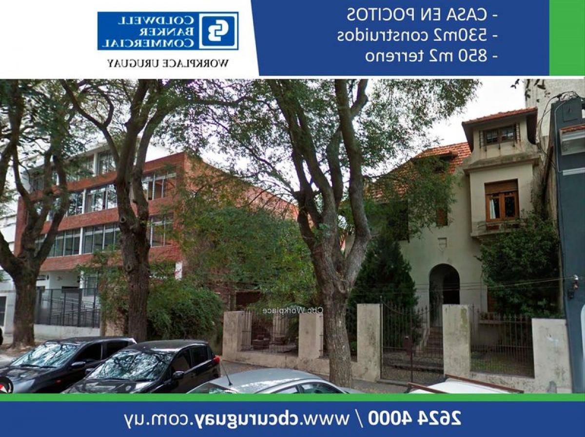 6 Schlafzimmer Gebäude in Montevideo, Uruguay, Nr. 16369
