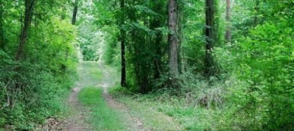 Villa T8 em Sainte-Maure-de-Touraine, France N.º 232838 21