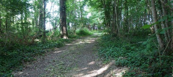 Villa T8 em Sainte-Maure-de-Touraine, France N.º 232838 23