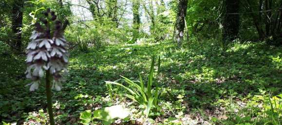 Villa T8 em Sainte-Maure-de-Touraine, France N.º 232838 24