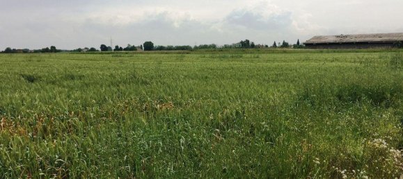 Grundstück in Carpi, Italy 11000m², Nr. 233999 3