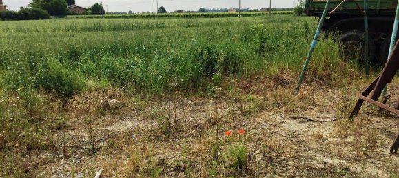 Grundstück in Carpi, Italy 11000m², Nr. 233999 4