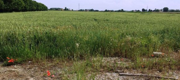 Grundstück in Carpi, Italy 11000m², Nr. 233999 2