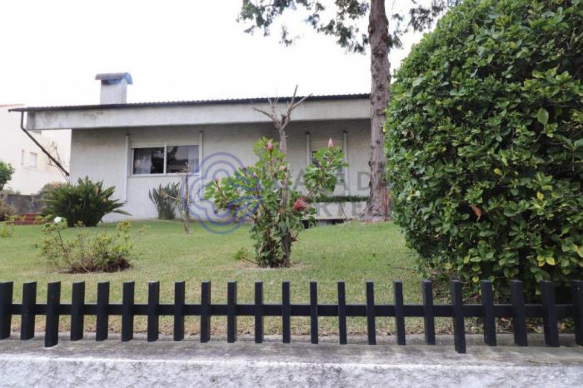 5 غرف نوم منزل في Porto, Portugal رقم 3938