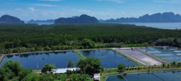 Propiedad comercial en Phuket, Thailand 26752 m² No. 12511 3