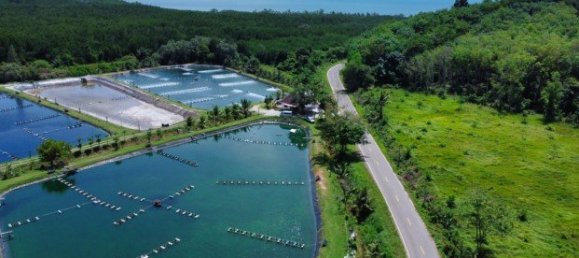 Propiedad comercial en Phuket, Thailand 26752 m² No. 12511 2