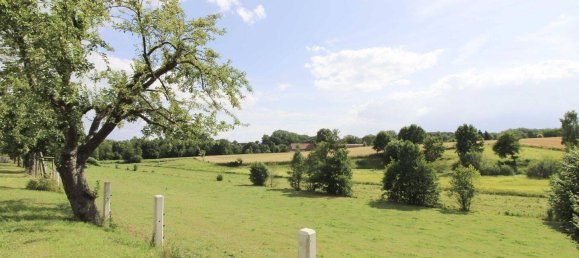 Таунхаус с 3 спальнями в Херфорд, Германия № 276607 17