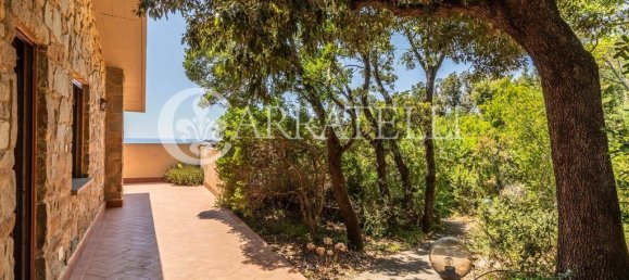 14 bedrooms Villa in Castiglione della Pescaia, Italy No. 78421 8