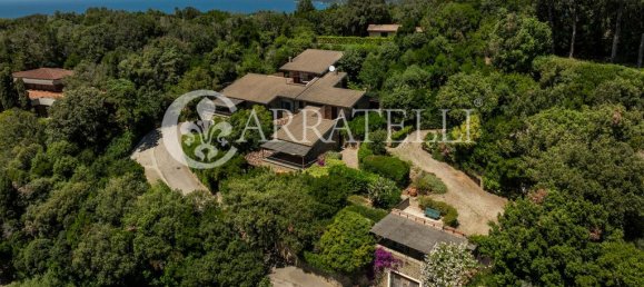 14 bedrooms Villa in Castiglione della Pescaia, Italy No. 78421 5