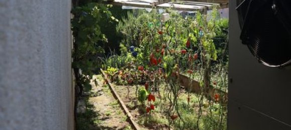 4 bedrooms House in Dannemarie, France No. 234346 8