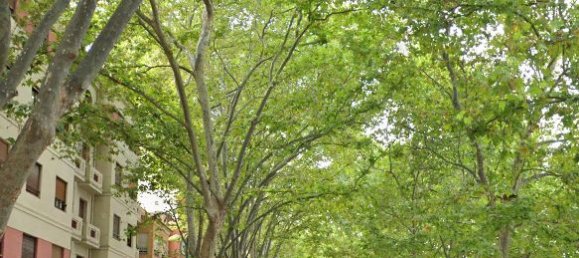 Apartamento de 3 dormitorios en Xativa, Spain No. 172703 2