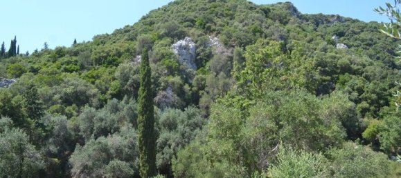 7000m² Hotel in Corfu, Greece No. 6613 2