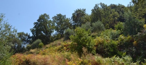 7000m² Hotel in Corfu, Greece No. 6613 4