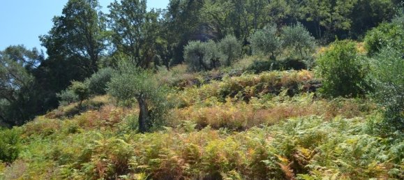 7000m² Hotel in Corfu, Greece No. 6613 3